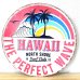 画像1: ブリキ看板 かわいい ハワイ ビンテージ THE PARFECT WAVE ヤシの木 ビーチ 海 アンティーク ガレージ プレート 壁飾り 可愛い アメリカン 雑貨 インテリア おしゃれ サーファー カフェ 店舗 (1)