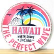 画像1: ブリキ看板 かわいい ハワイ ビンテージ THE PARFECT WAVE ヤシの木 ビーチ 海 アンティーク ガレージ プレート 壁飾り 可愛い アメリカン 雑貨 インテリア おしゃれ サーファー カフェ 店舗 (1)